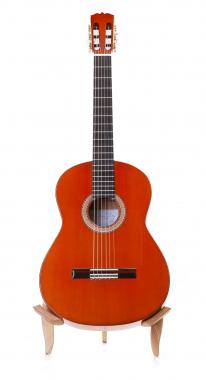 Antonio Torres Dorado concert flamenco guitar