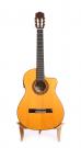 Cordoba 45FCE cutaway flamenco guitar