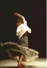 Alegrias + Guajira flamenco dance DVD lessons from the conservatory of Madrid vol 1
