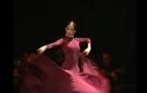 Seguiriya + Tango flamenco dance DVD lessons from the conservatory of Madrid vol 3