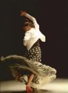 Pack flamenco dance DVD classes from the conservatory of Madrid DVD 1 2 3