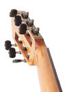 Mijail Kharash flamenco guitar 2022